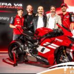 Cinta Laura Pilih Rawat Kucing