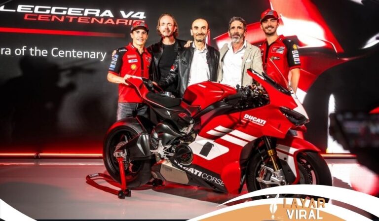 Cinta Laura Pilih Rawat Kucing